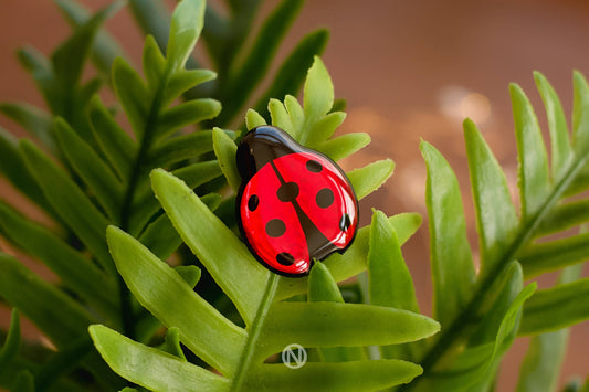 Élégante Broche Coccinelle | Broche Coccinelle | La Ptite Boutique